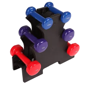 6-Piece Dumbbell Set with Rack