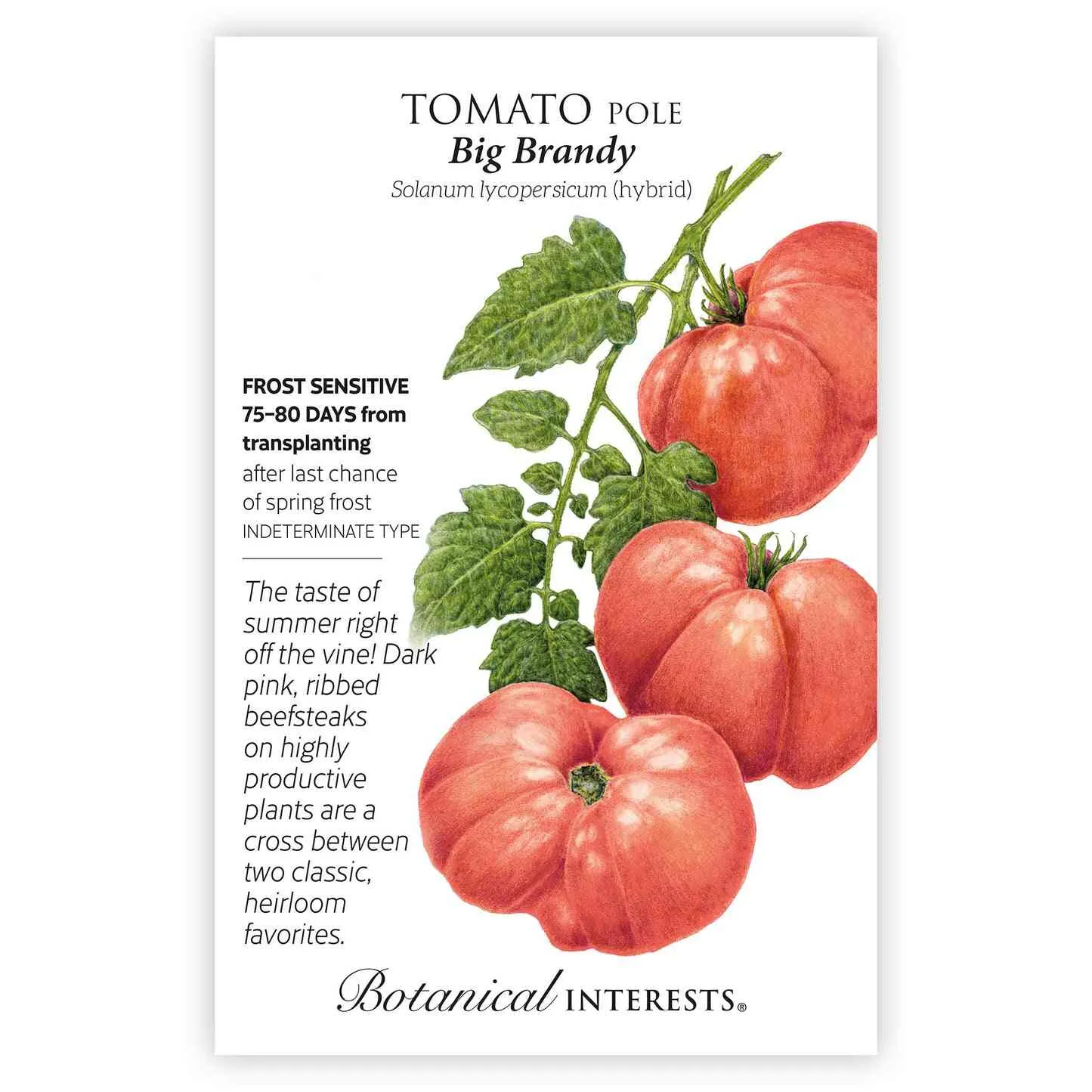 Big Brandy Pole Tomato Seeds