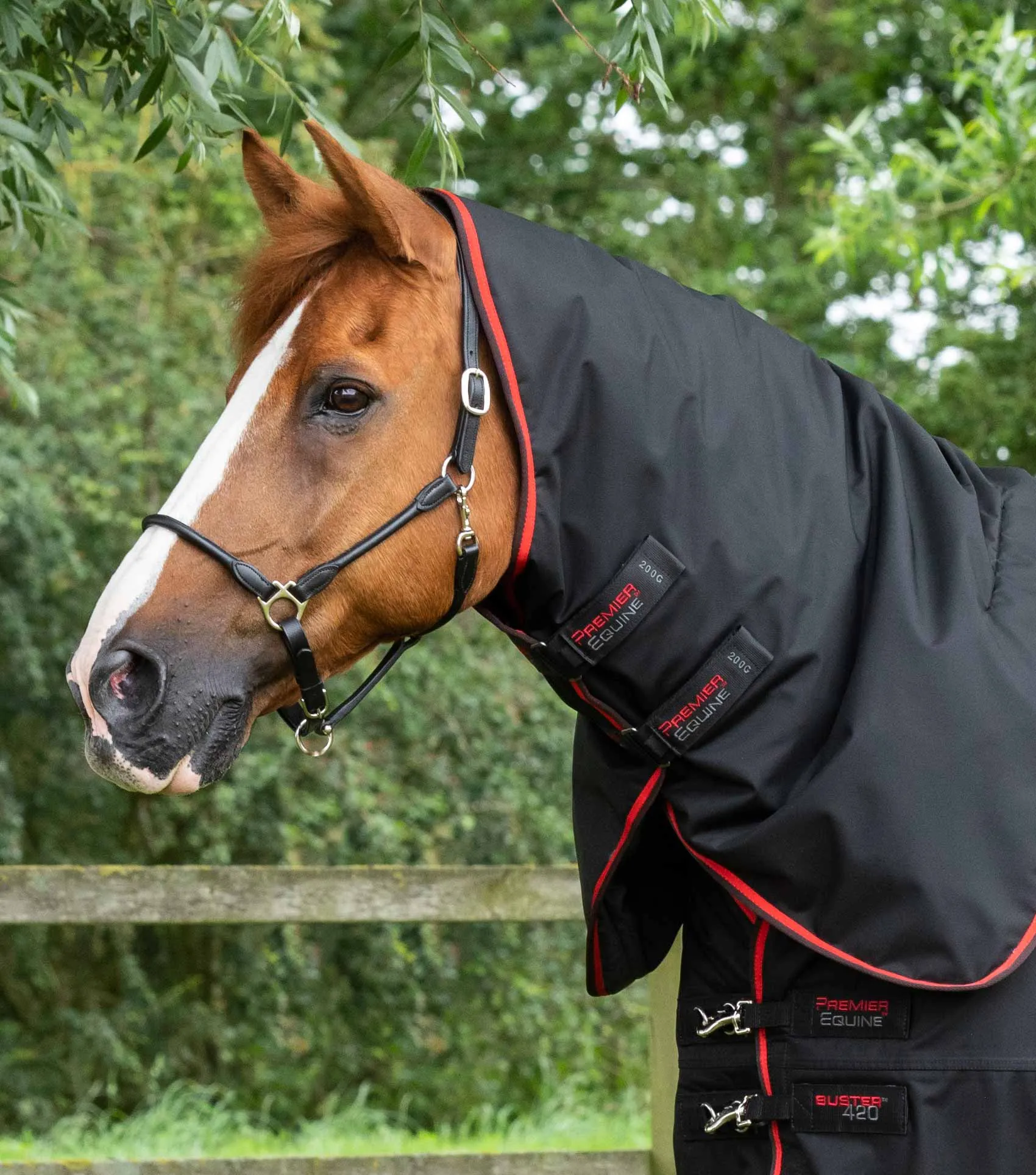 Buster 420g Turnout Rug with Classic Neck Cover Black