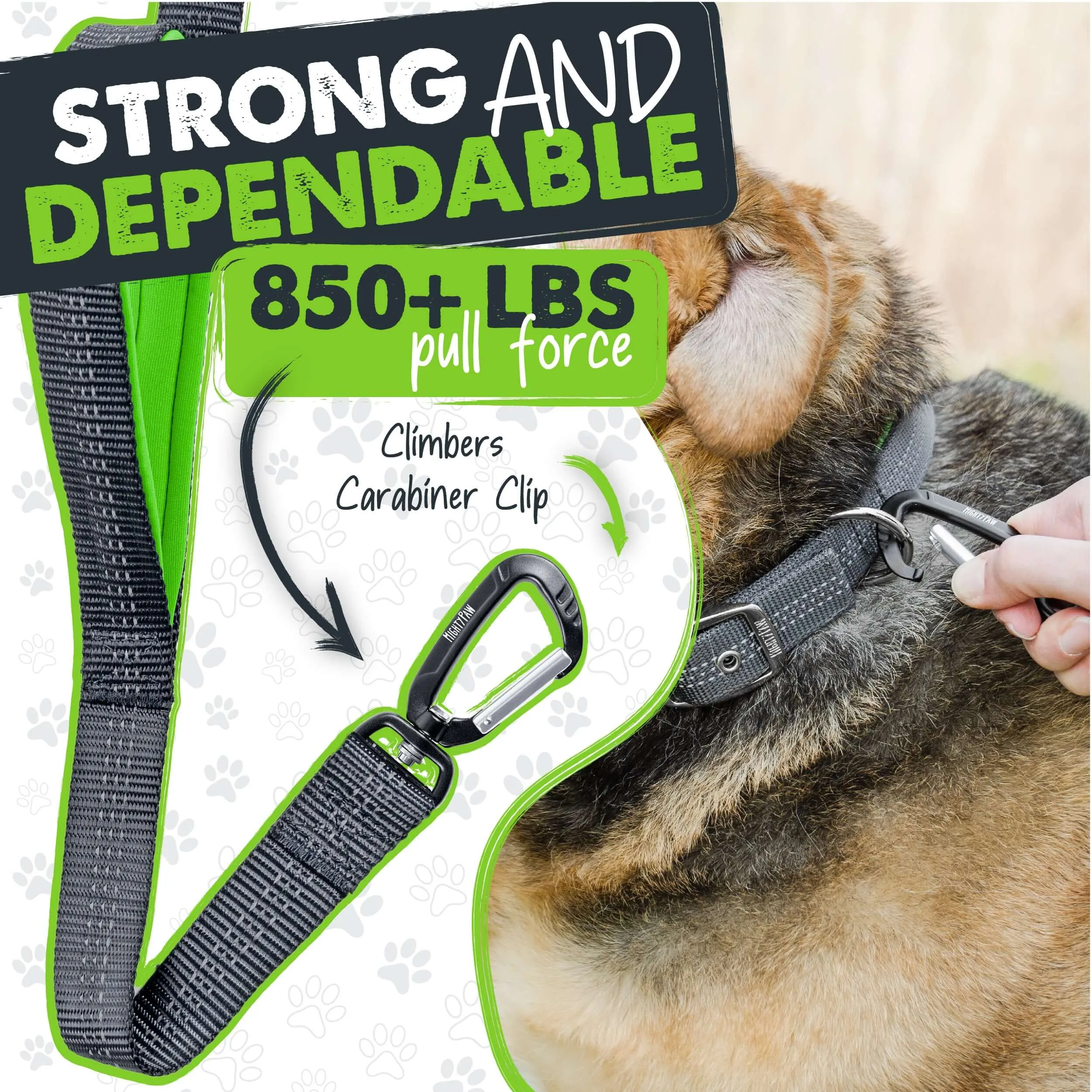 Dual Handle Dog Leash 2.0 - HandleX2 for Maximum Control