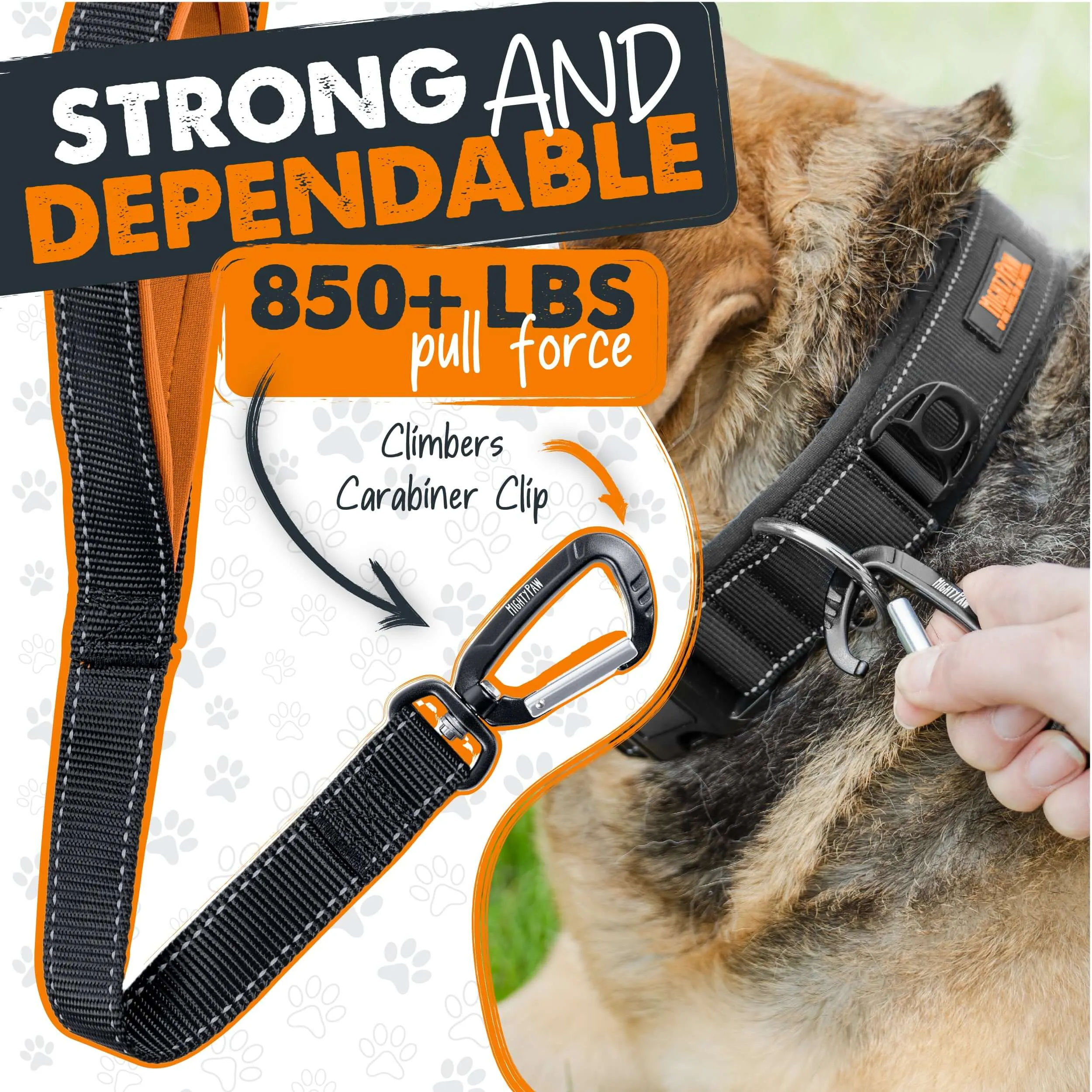 Dual Handle Dog Leash 2.0 - HandleX2 for Maximum Control