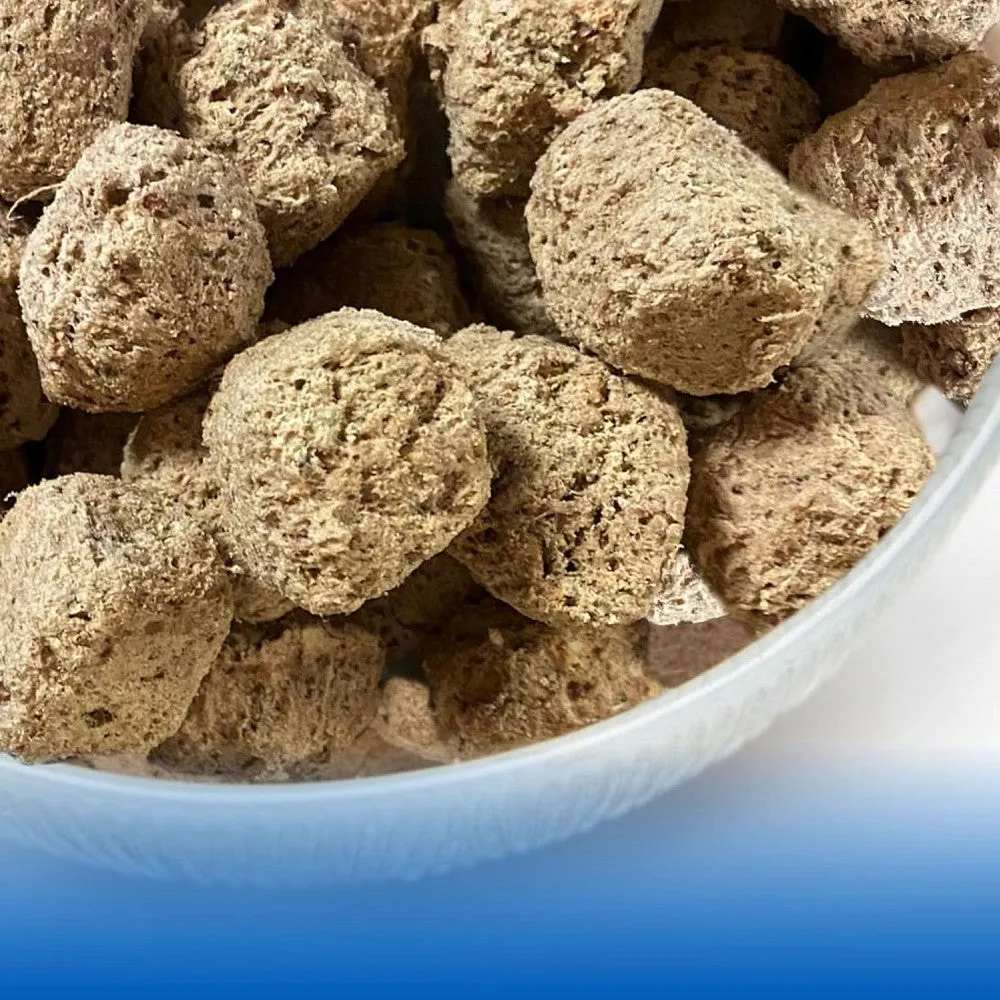 Freeze Dried Beef & Trout Nuggets Complete Dog Food