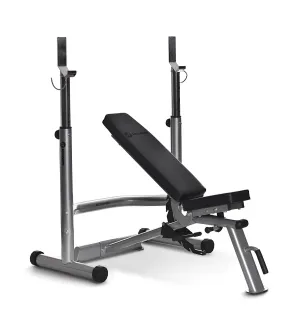 Horizon Adonis  - Gym Rack and Adonis Bench