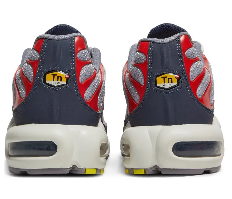 Men's Nike Air Max Plus TN (USA Grey)