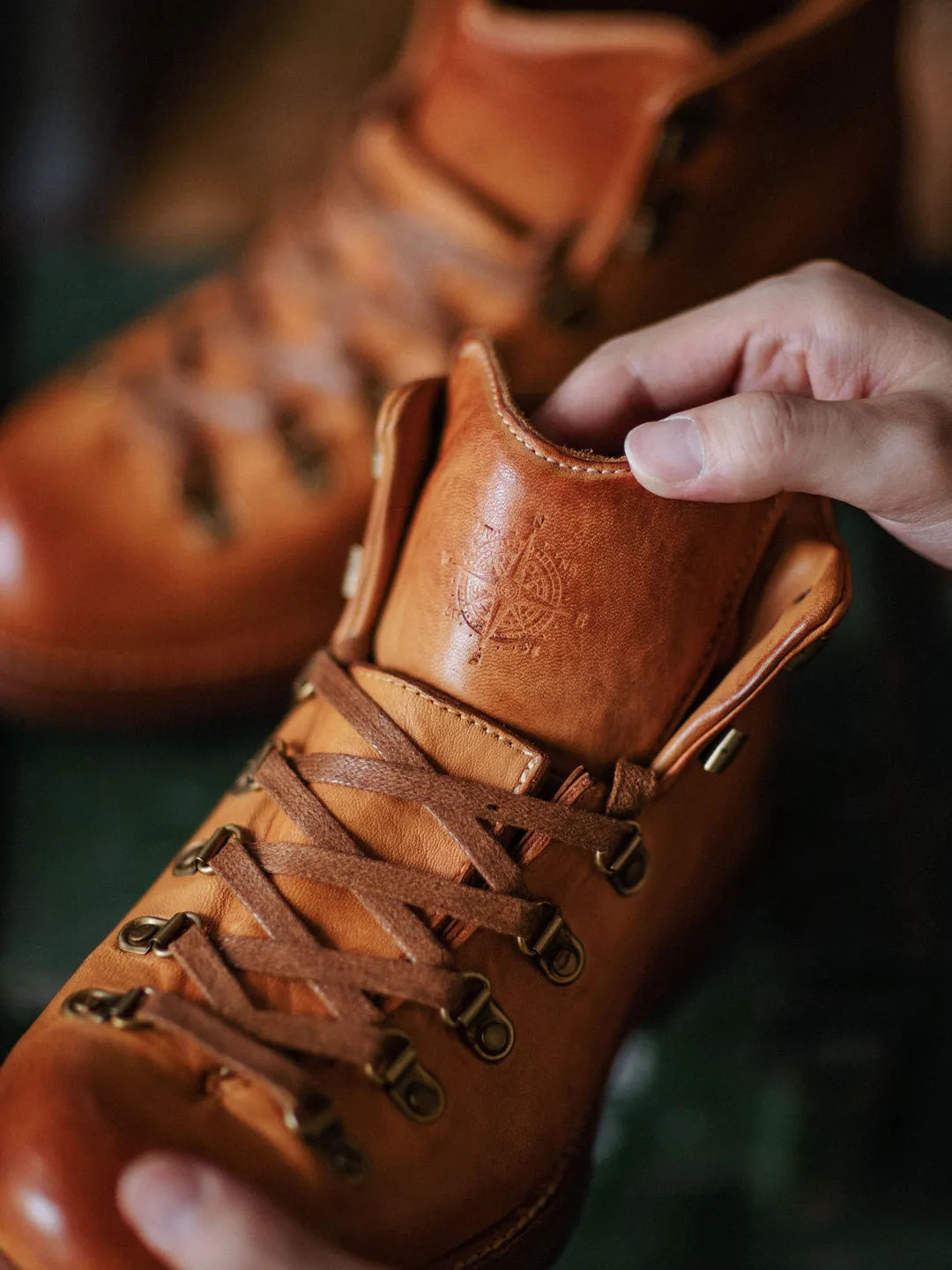 Mountain Hiking Boot