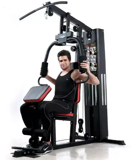 One Station Multi Gym Body Builder (NS106 - Basic)