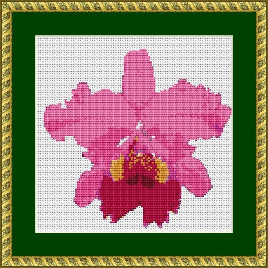 Pink Orchid Cross Stitch Pattern, Modern Flower Embroidery PDF Instant Download,