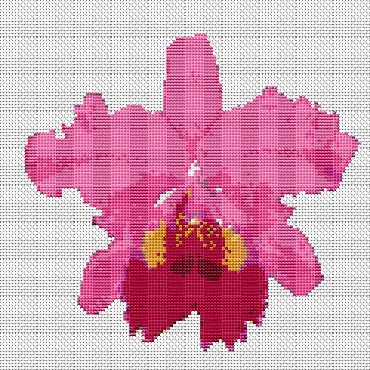 Pink Orchid Cross Stitch Pattern, Modern Flower Embroidery PDF Instant Download,