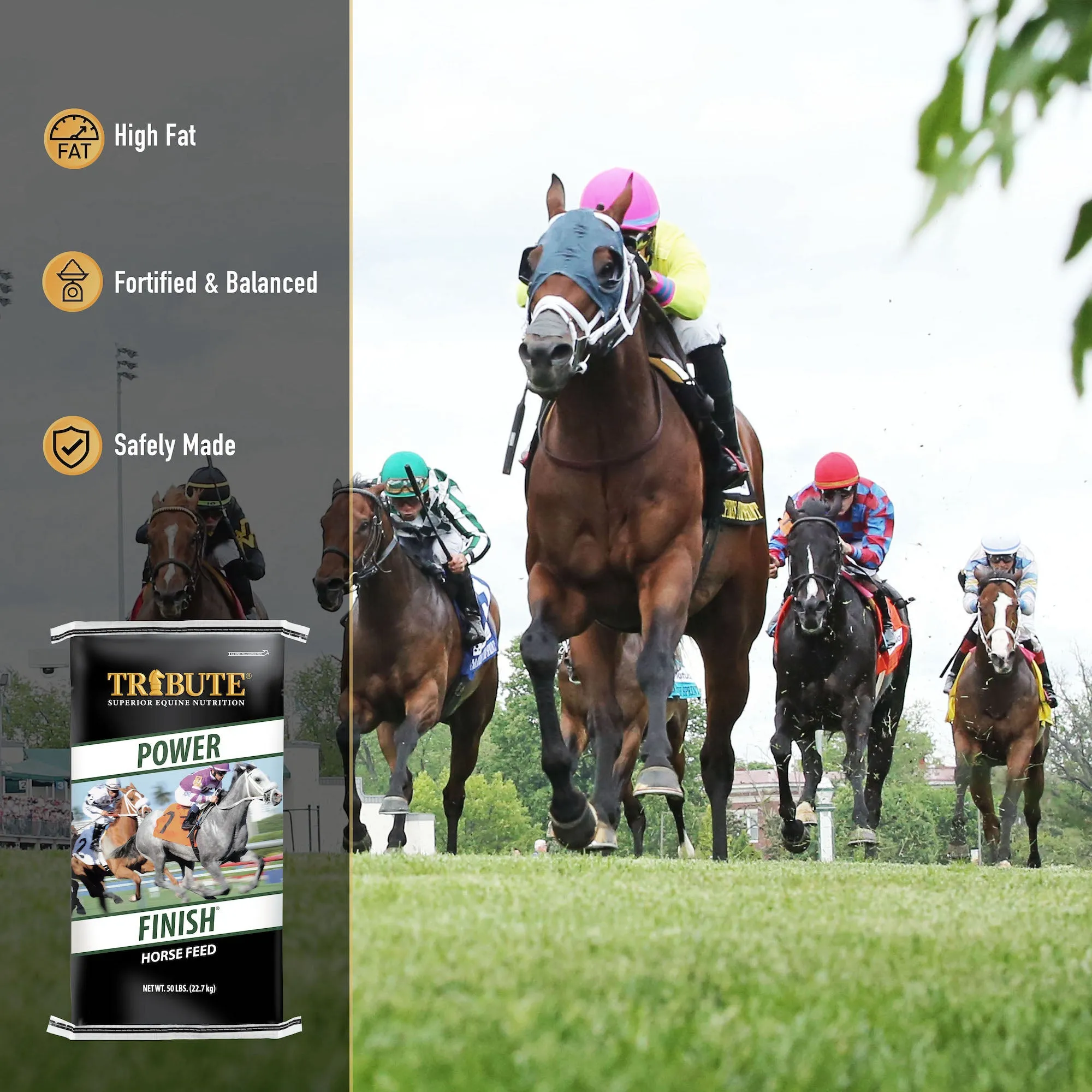 Power Finish®, Textured, Corn-Free Feed for Race Horses