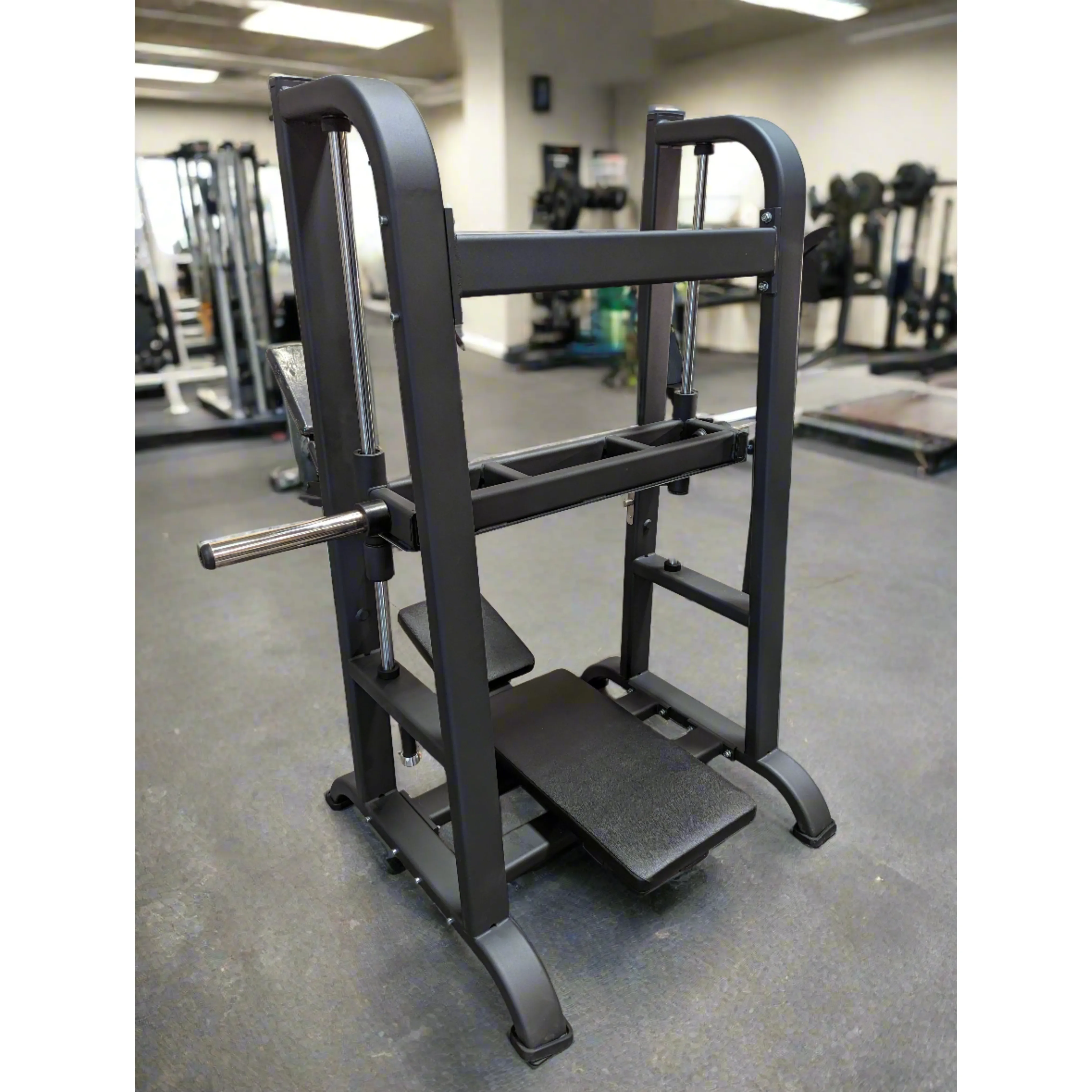 SFE Commercial Vertical Plate Loaded Leg Press ( New)