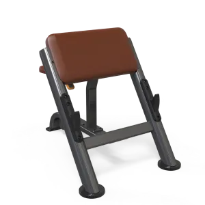 VERVE Preacher Curl Scott Bench - Makoto Series