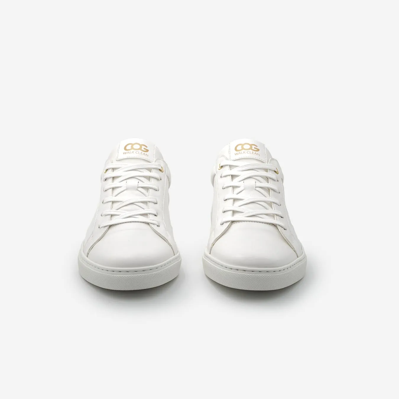 Winton Women's Vegan Sneakers | White & Gold